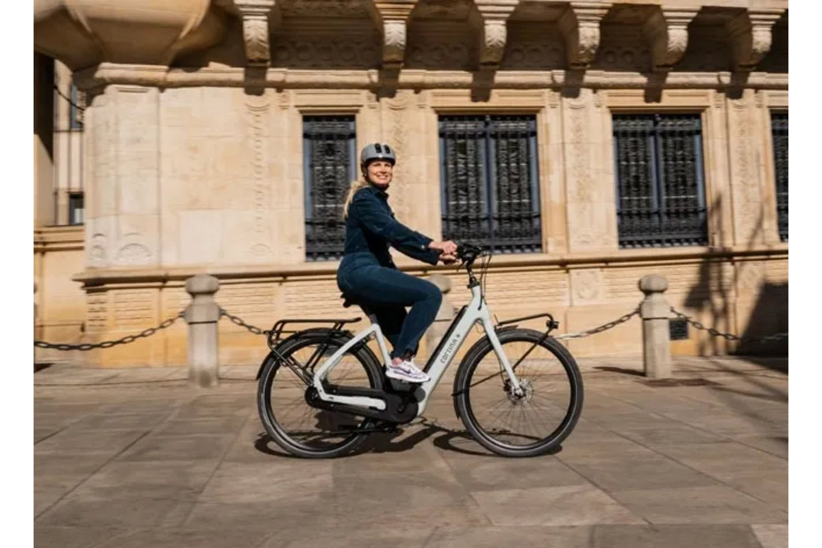 Elektrische Fietsen